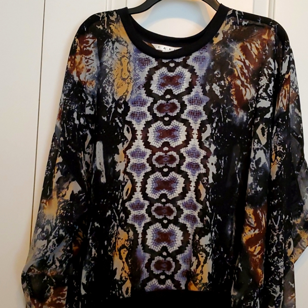 Sheer multi color long sleeve top